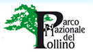 pollino